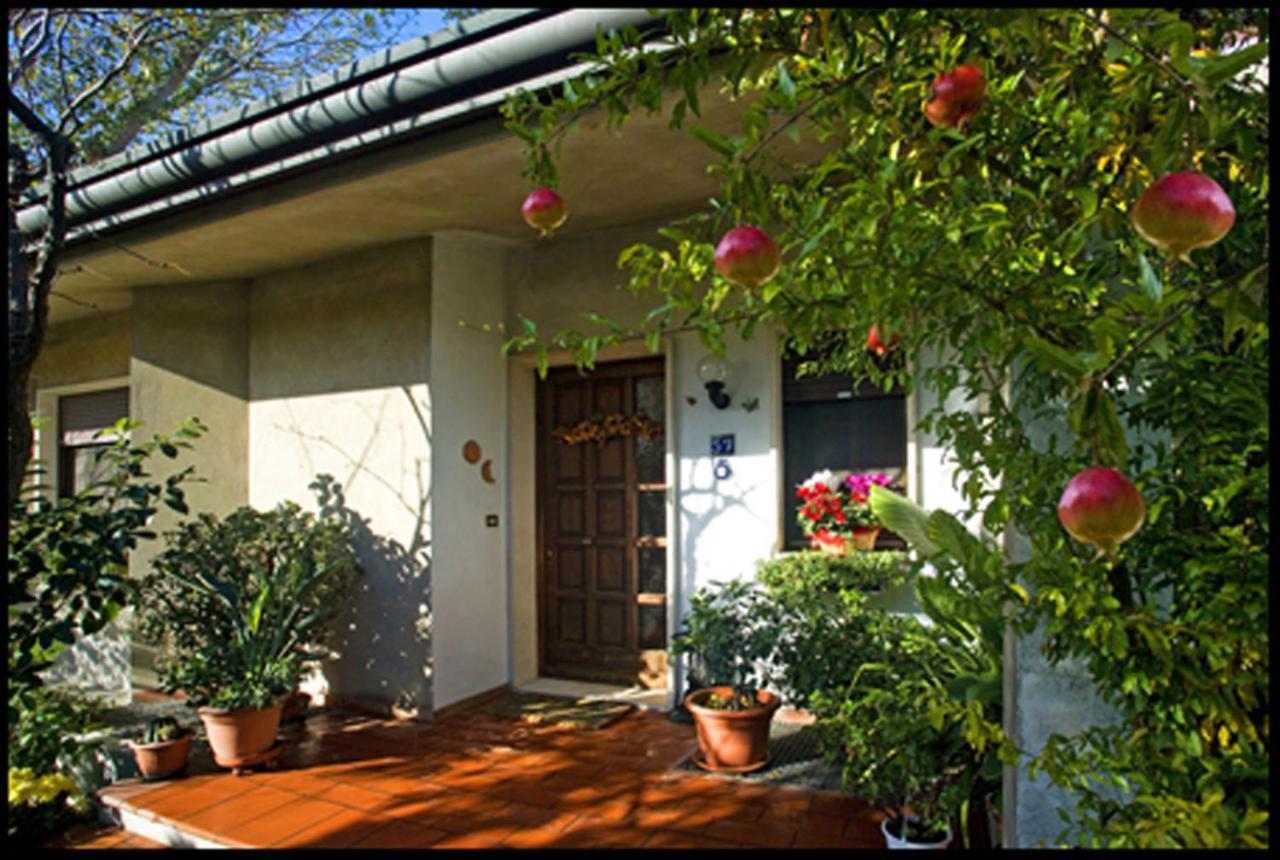 Bed & Breakfast Oasi Di Venice